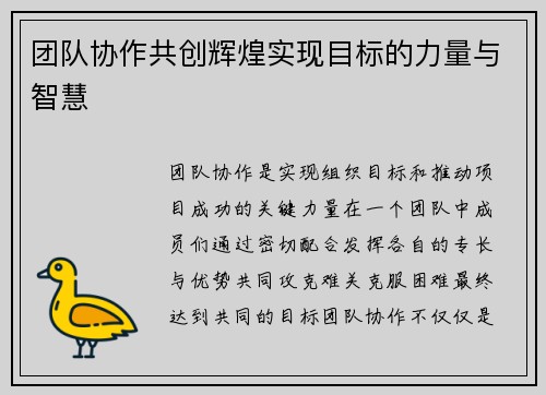 团队协作共创辉煌实现目标的力量与智慧